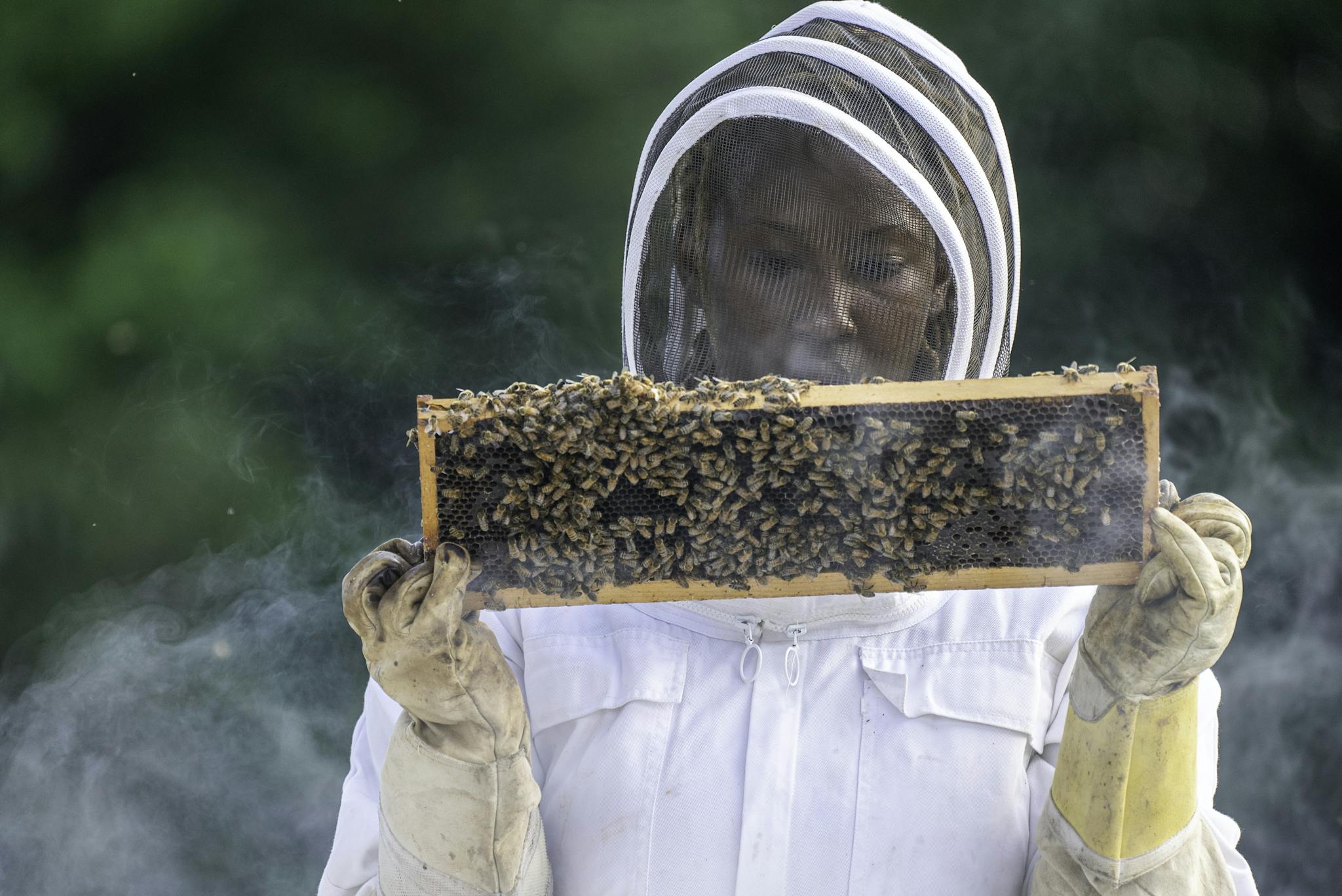 A beekeeper in protective gear inspects a bee-filled honeycomb outdoors in summer.